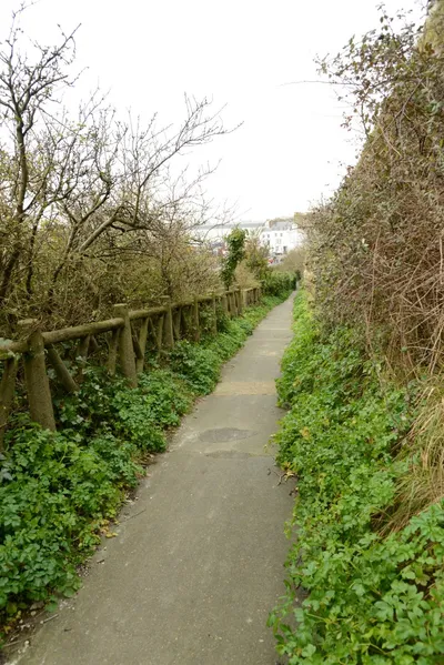 DSC_1300 (Large).JPG